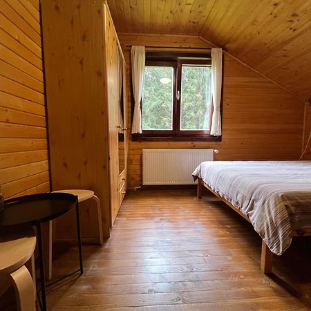 Casa De Vacanta Dintre Brazi Topliţa Zewnętrze zdjęcie