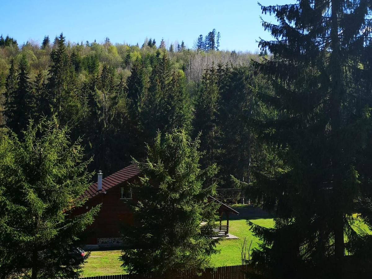 Casa De Vacanta Dintre Brazi Topliţa Zewnętrze zdjęcie