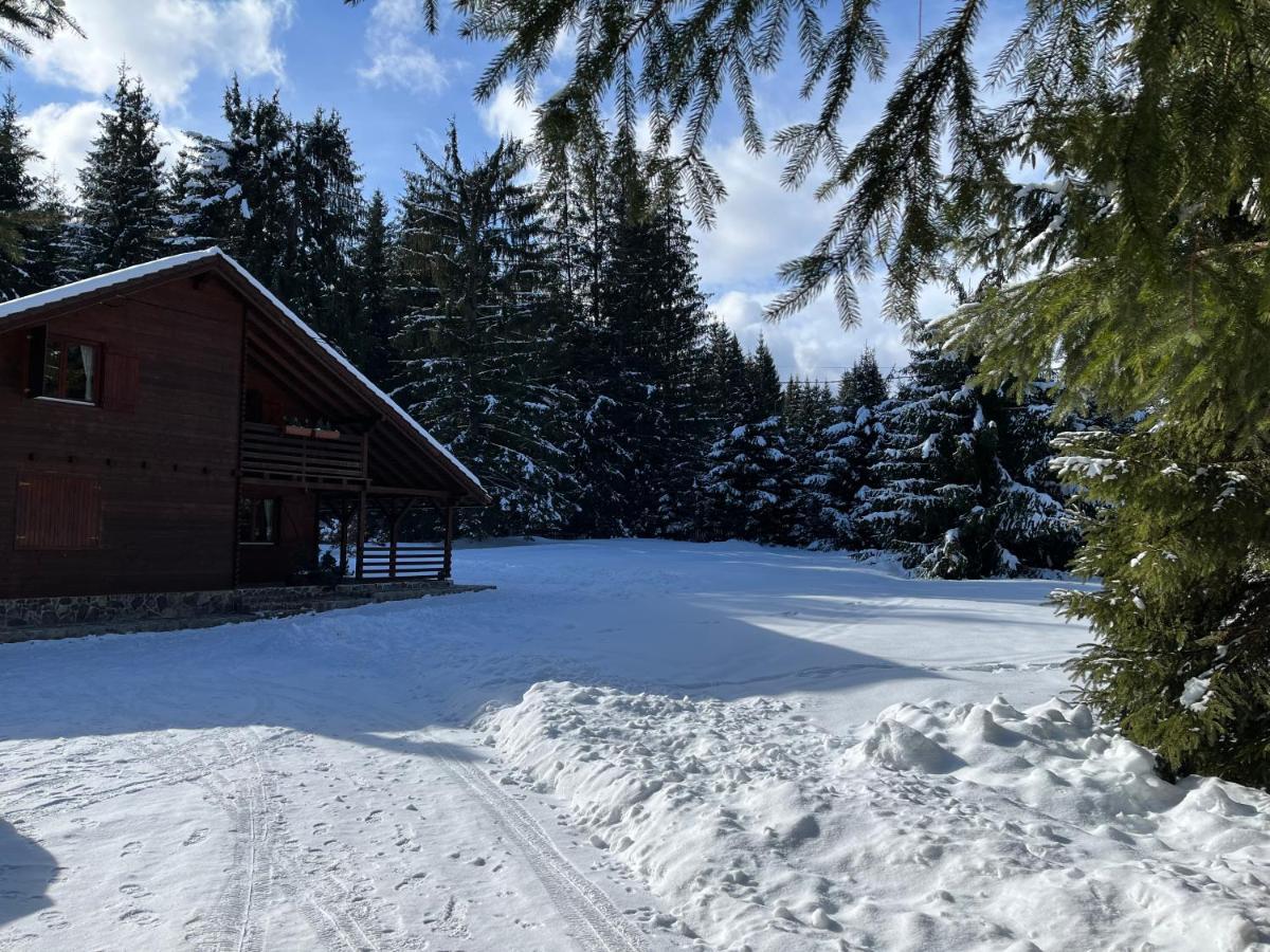Casa De Vacanta Dintre Brazi Topliţa Zewnętrze zdjęcie