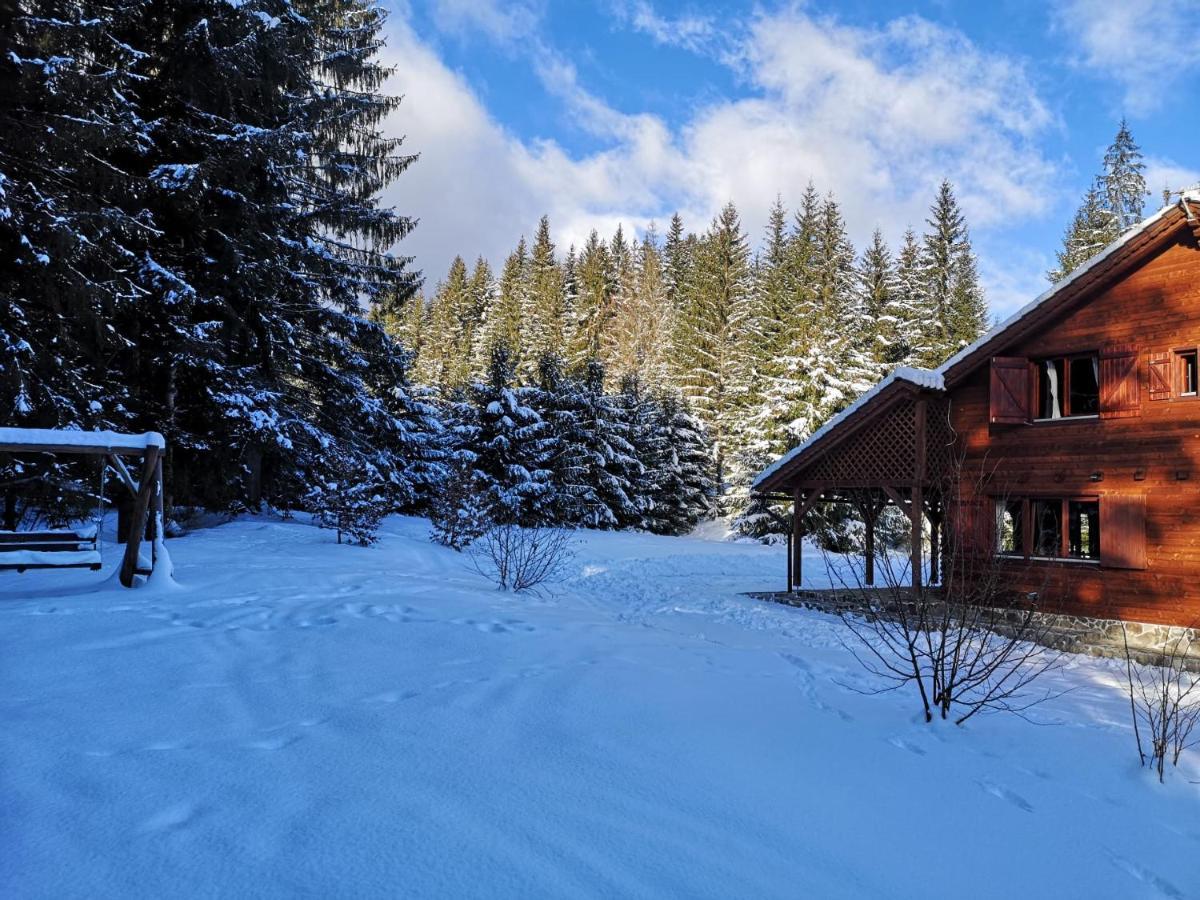 Casa De Vacanta Dintre Brazi Topliţa Zewnętrze zdjęcie