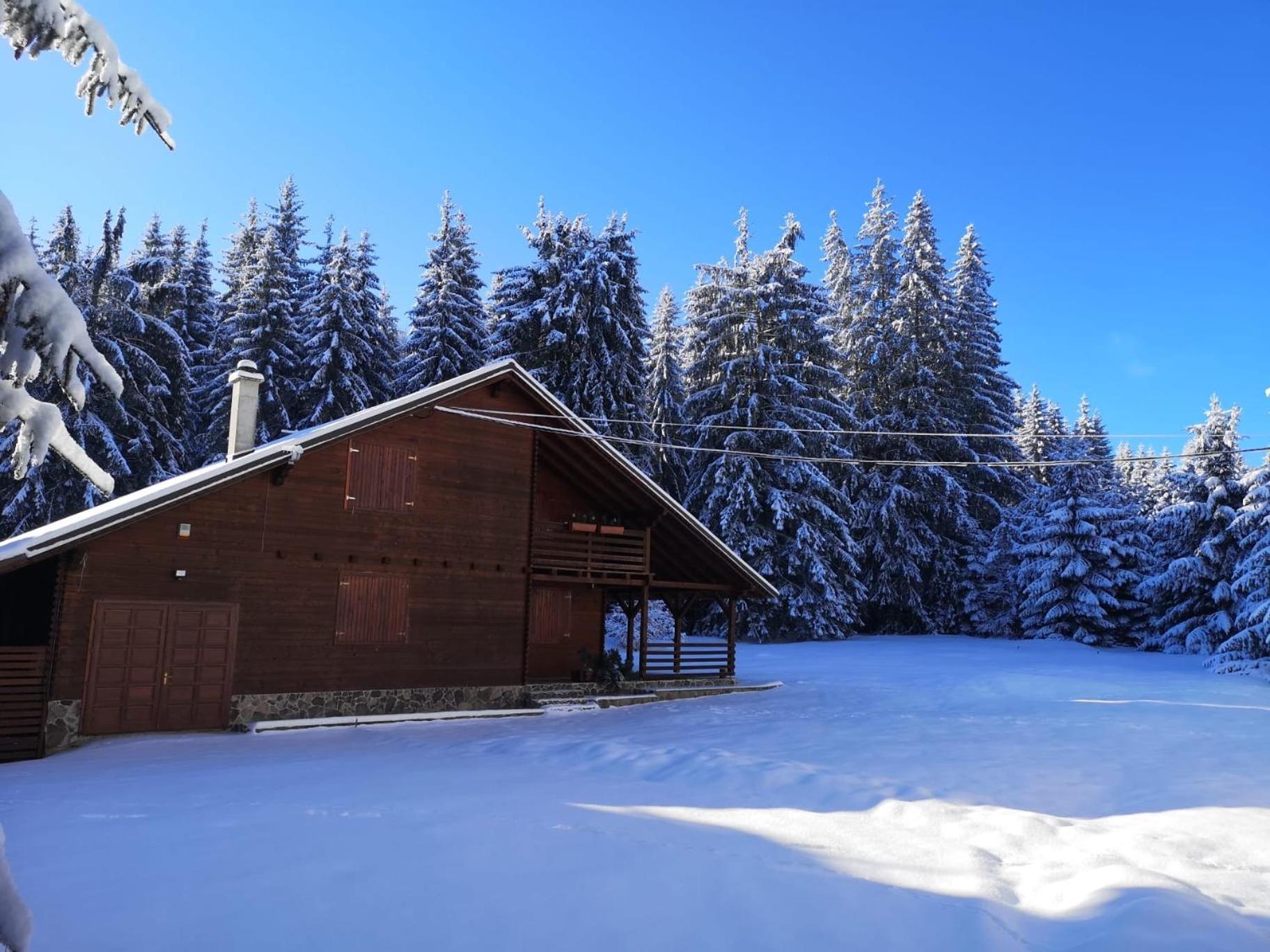 Casa De Vacanta Dintre Brazi Topliţa Zewnętrze zdjęcie